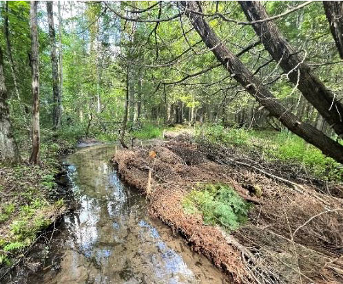 Long Creek Brush Bundling